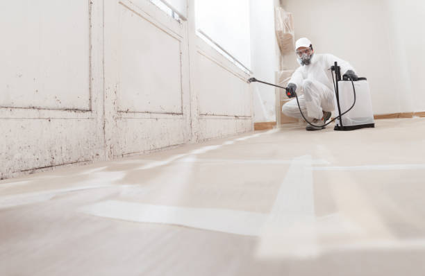 24/7 Emergency Commercial Mold Remediation experts in Allensville, PA